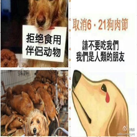 凤姐支持狗肉节 单挑众明星称人权大于狗权