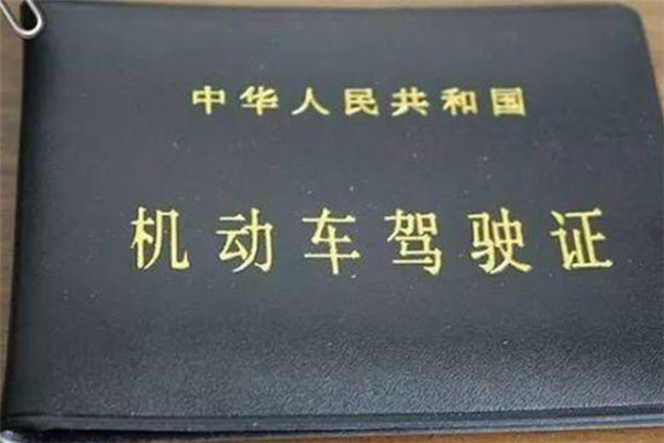 十大热门证书排行榜：教师资格证上榜，第一可以加学分