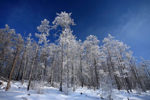 全国最冷的十个城市排名 牙克石最低可达零下52℃