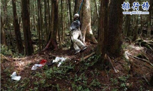 日本最恐怖的地方排名 富士山自杀森林尸体比树还多