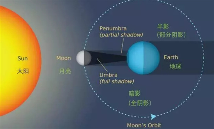 地球上哪些地方的日食次数最多（南北极频率更高）