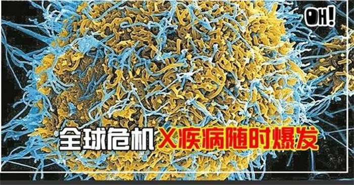 “X疾病”一定会到来吗  x疾病怎么应对