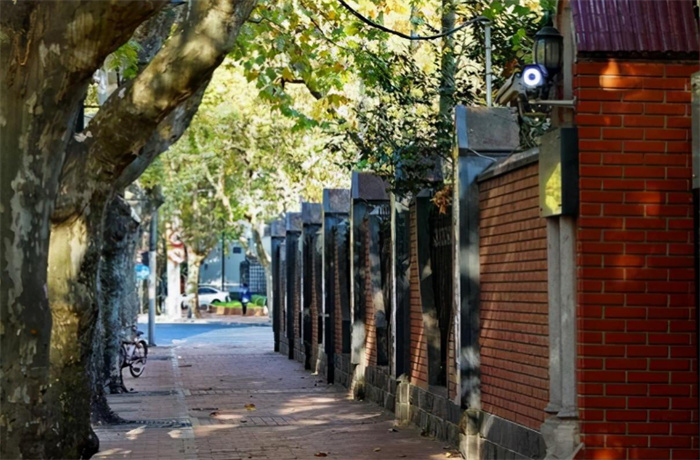 为何康平路禁止拍照 还有警卫看守（重要街道）