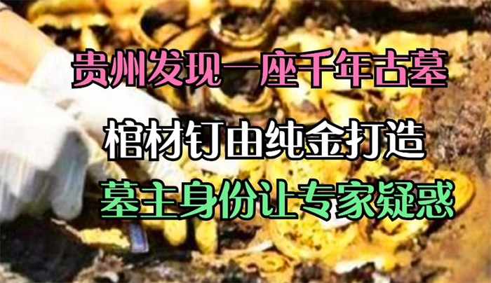 贵州发现一座豪华墓葬 棺材钉是纯金打造（豪华古墓）