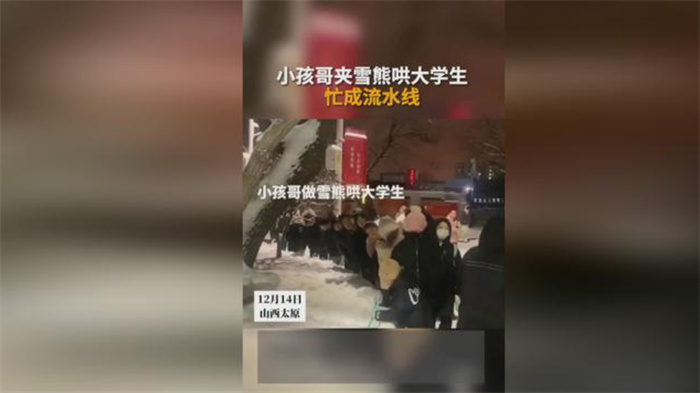 小孩哥夹雪熊哄大学生忙成流水线 两个最清澈群体的相遇