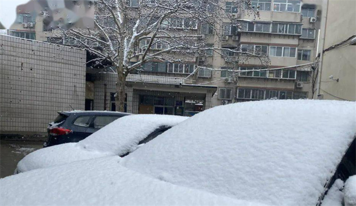 “鹅毛大雪”才是暴雪 多大的雪可以被称之为暴雪