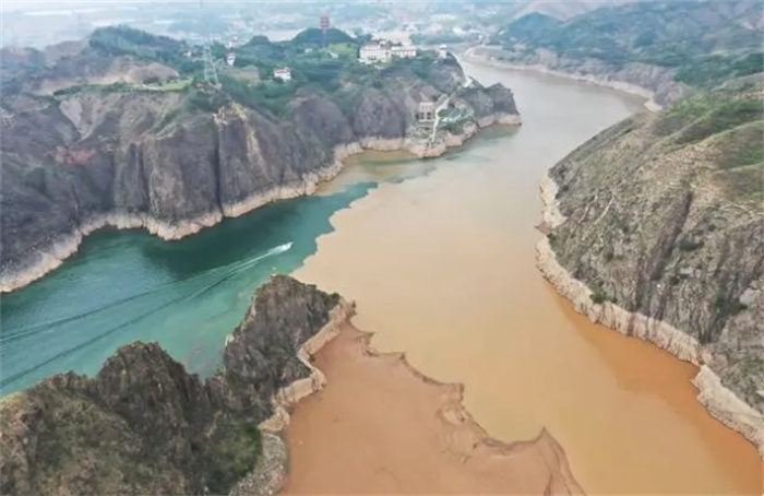 黄河每天冲鱼入海，大部分淡水鱼无法在海中存活，最后都去哪了？