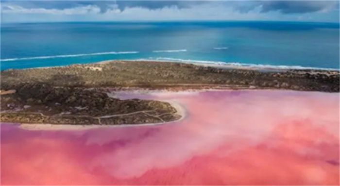 澳大利亚的粉红湖：世界上最浪漫的湖泊  湖水都是玫瑰色