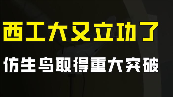 仿鸟飞行器重大突破 连美国都为之震惊（生物飞行器）