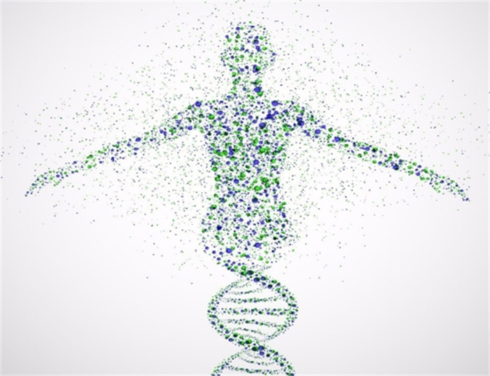 人体里居然有出轨基因 科学家揭露出轨原因（出轨基因）