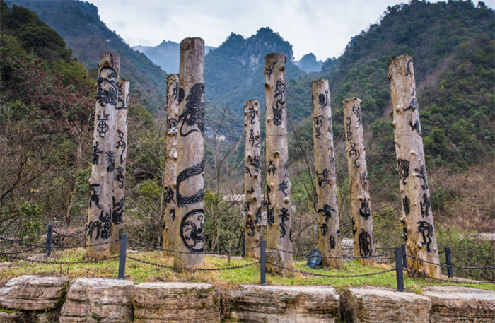 神农架景区神秘生物 驴头狼是否存在（秘密生物）