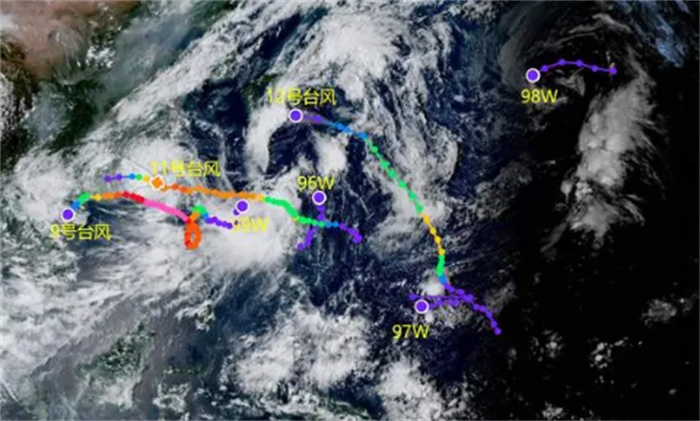 今年这么多台风 到底是什么原因（台风天气）