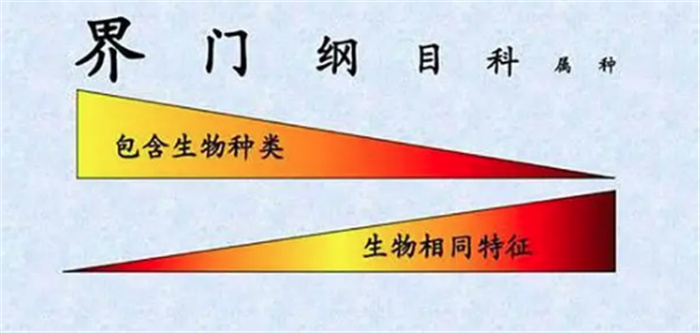 人类是进化来的吗？为什么自然界中没有与人类相似的物种？