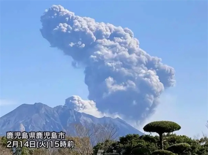 日本海湾惊现大量沙丁鱼！为何渔民“不喜反怕”？火山地震前兆？