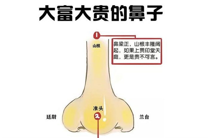 鼻子看财运：有这种鼻子的人 一生大富大贵 不愁没钱花 你有吗