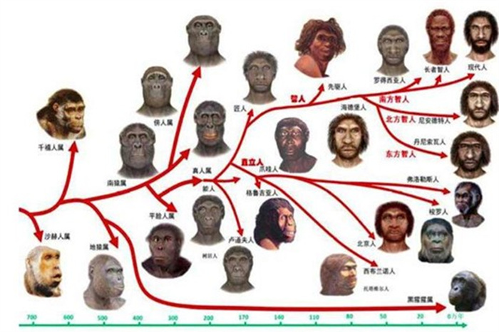 巴瑶族身体出现变化 科学家发现进化证据 未来会出现新人类吗