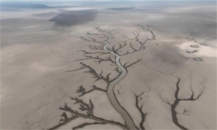 鄱阳湖干旱的大地之树都出现了  老爷庙的神秘事件可以解开了吗