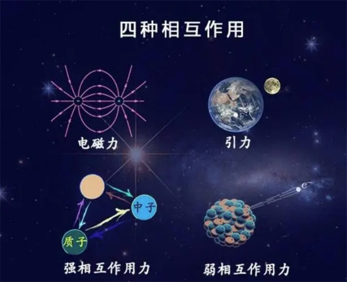 从物理学到化学到生物学，再到社会学，它们是如何连接起来的？