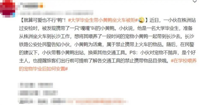 大学毕业生带小黄鸭坐火车被拒 火车为何不让带小黄鸭