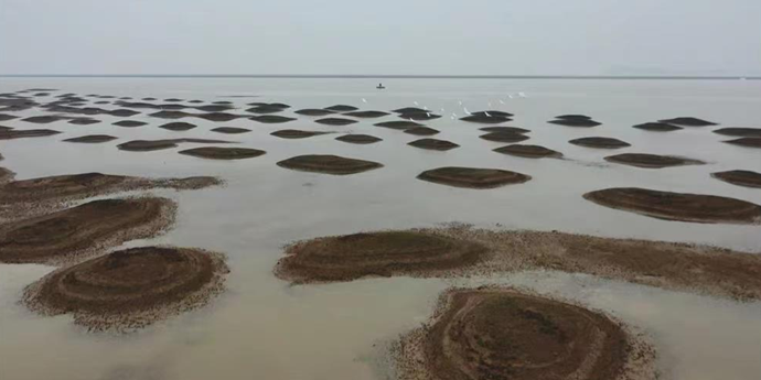 鄱阳湖又枯了 鄱阳湖下的恐怖