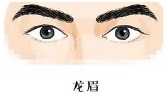 男人什么眉型命最好 哪种眉毛的男人大富大贵（龙眉）