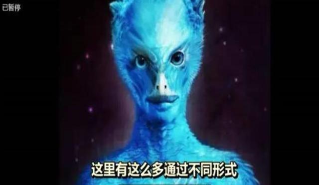 地球上发现了蓝鸟人，是不是真的存在？（怪异人类）