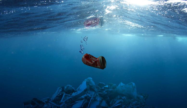 海洋生物正在被它们慢性杀害，凶手居然是人类（毒害海洋）