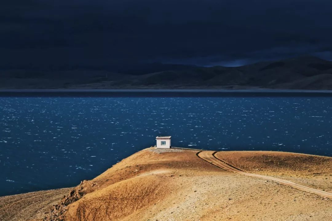 加拿大湖发现神秘“水怪”，是什么玩意（水底生物）