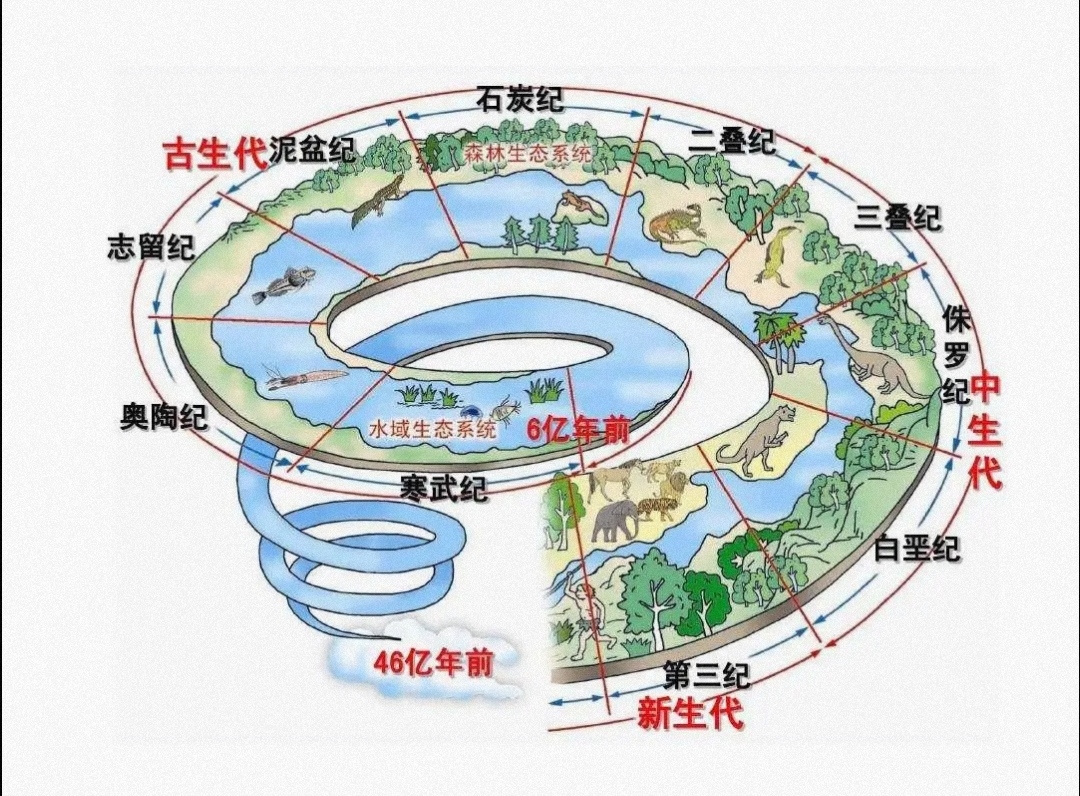 科学家发现多迹象已表明，地球可能正在进入第六次生物大灭绝。