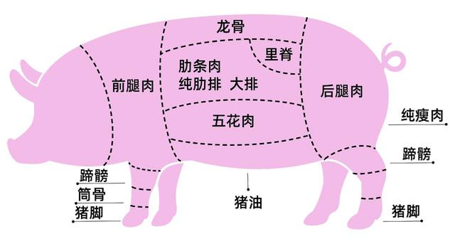 人类吃肉，为何基本只吃食草动物（人体奥秘）