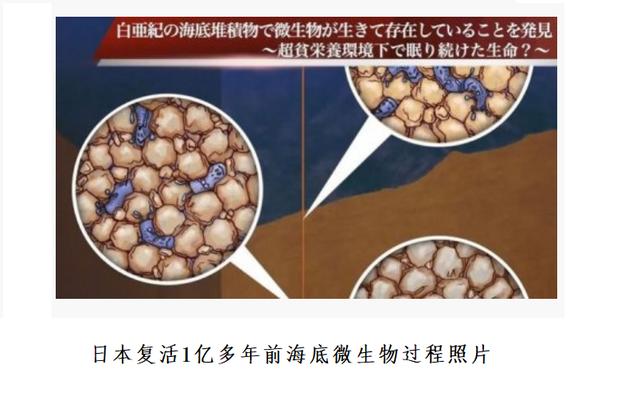 科学家们发现了神秘的生物，有着别人没有的本领（神秘的生物）