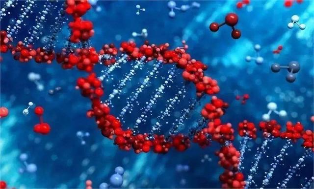 什么是DNA？有什么作用吗？（人类的标记符号）