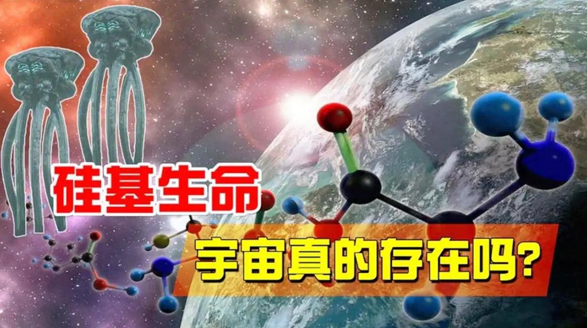 地球为何选择碳基生命，硅基生命长什么样？ （ 不存在的生命）