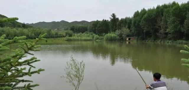 为什么下过雨后的池塘过一点时间就会有鱼了？（科学解释）