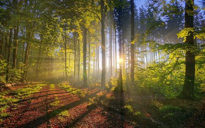 世界上总频繁出现神秘生物，澳大利亚竟出现了野人幽威