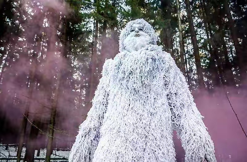 揭开神秘雪人的真面目，科学家试图进行基因分析