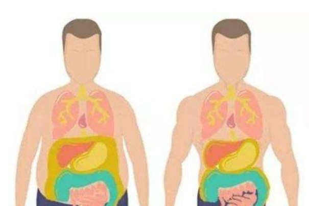 内脏脂肪多少为标准：1-9算正常(过高对身体有危害)