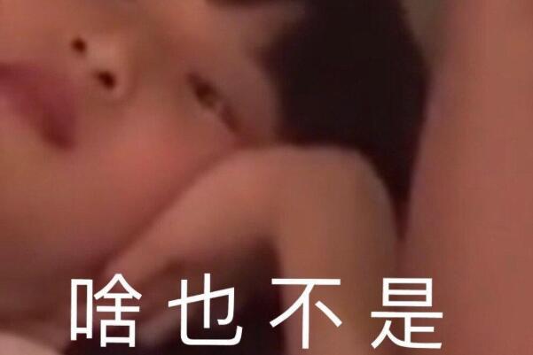 啥也不是是什么意思(什么都做不好，别不切实际了)