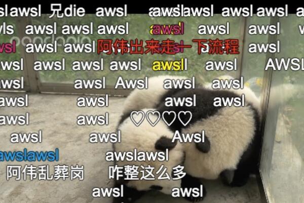 awsl是什么意思：啊我死了(拼音缩写)