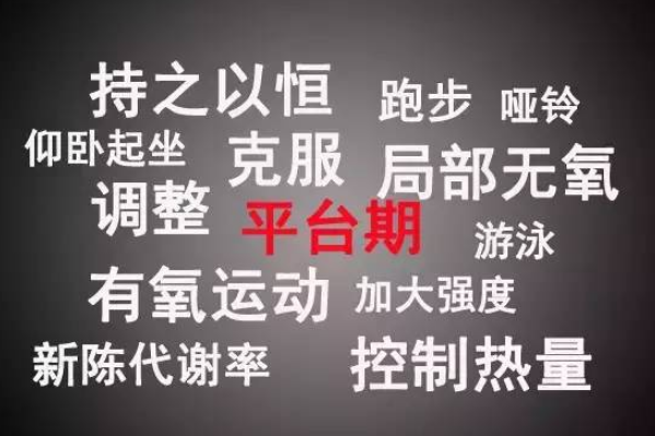 减肥为什么会有平台期：能量摄入和消耗平衡(身体适应了)