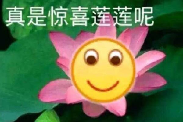 白莲花是什么意思?表面单纯实则心机(做作的绿茶女)