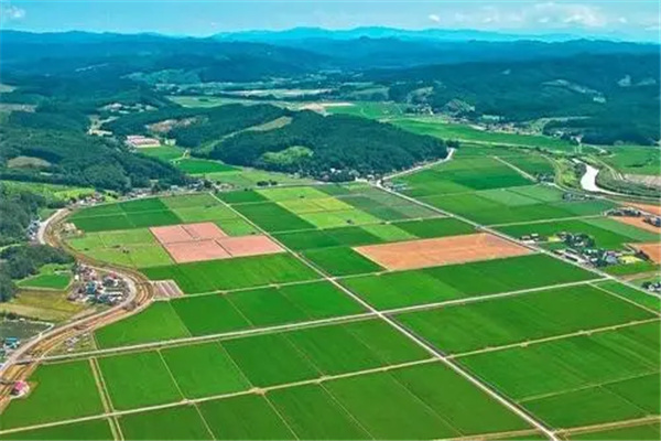 土地性质分类：农用地（有着相当广泛的用途）