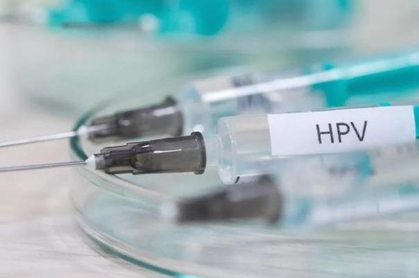 北京研发14价HPV：96%宫颈癌防护率(有望解决八因子问题)