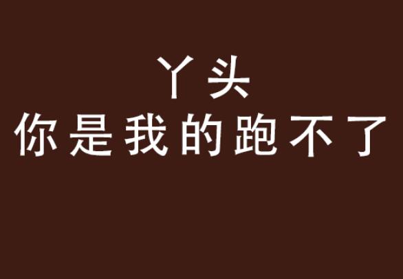 丫头文学是什么梗 丫头文学是什么意思呢