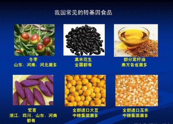 转基因食品的利弊 能提高农作物产量但会对健康造成威胁