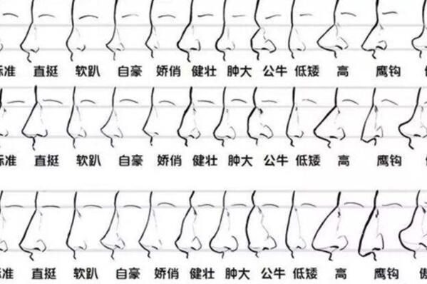 相学最有福气的7种鼻子：朝天鼻在其中拥有其一不愁吃穿