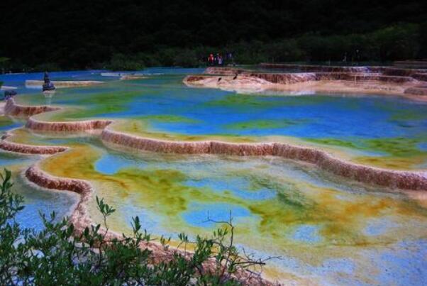 钙华地貌的成因:碳酸钙沉积作用，需生物参与(万年岁月)