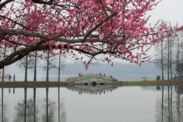 冬天适合去哪里旅游?东湖赏梅，哈尔滨滑雪(尝大锅炖)