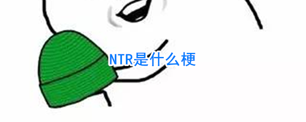 ntr什么意思网络语言 ntr具体是指的什么意思