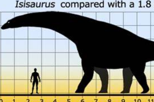 伊希斯龙:最后的植食性蜥脚类恐龙(长18米/脖子较短)